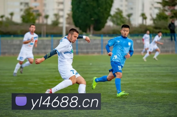 多媒体互动体验